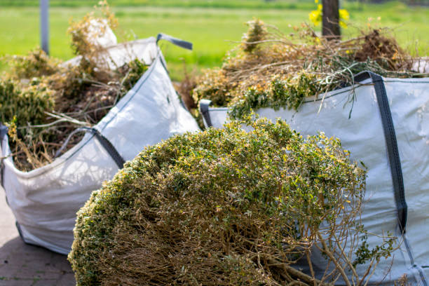 Best Office Junk Removal  in Laverne, OK